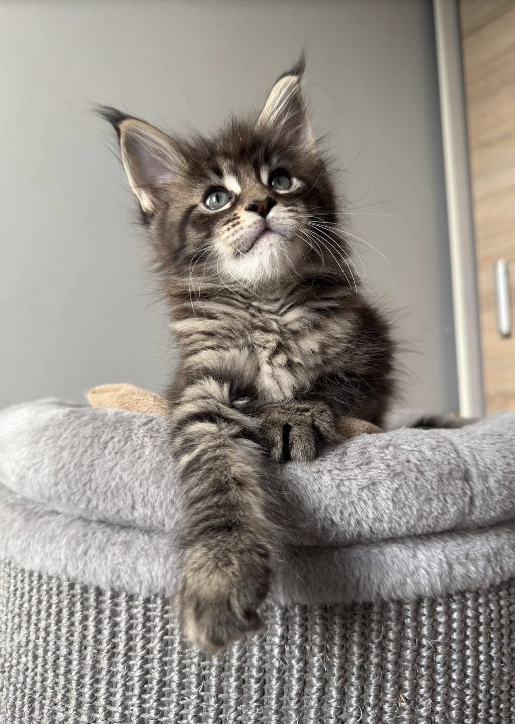 472788819_1739373086622743_563372803617215382_n