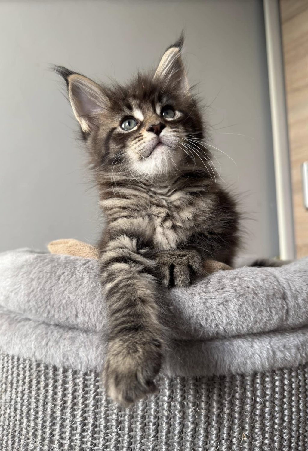 472788819_1739373086622743_563372803617215382_n