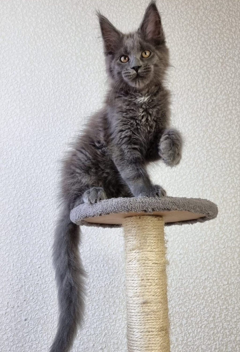 WhatsApp Image 2026-03-04 at 23.40.51