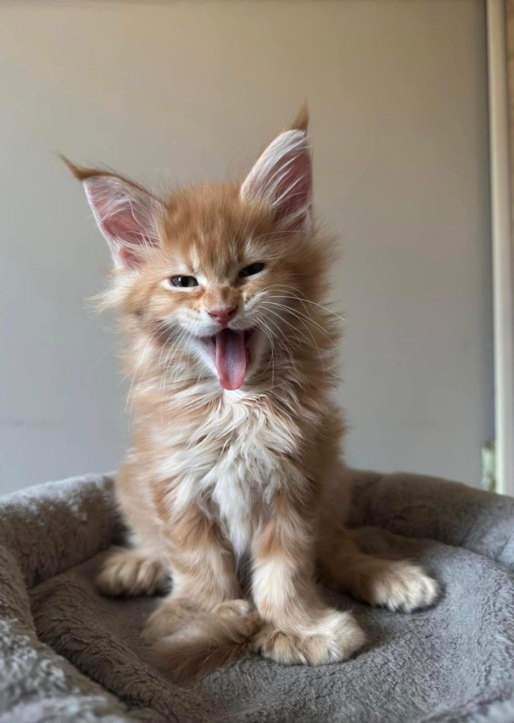 WhatsApp Image 2026-03-04 at 23.50.36