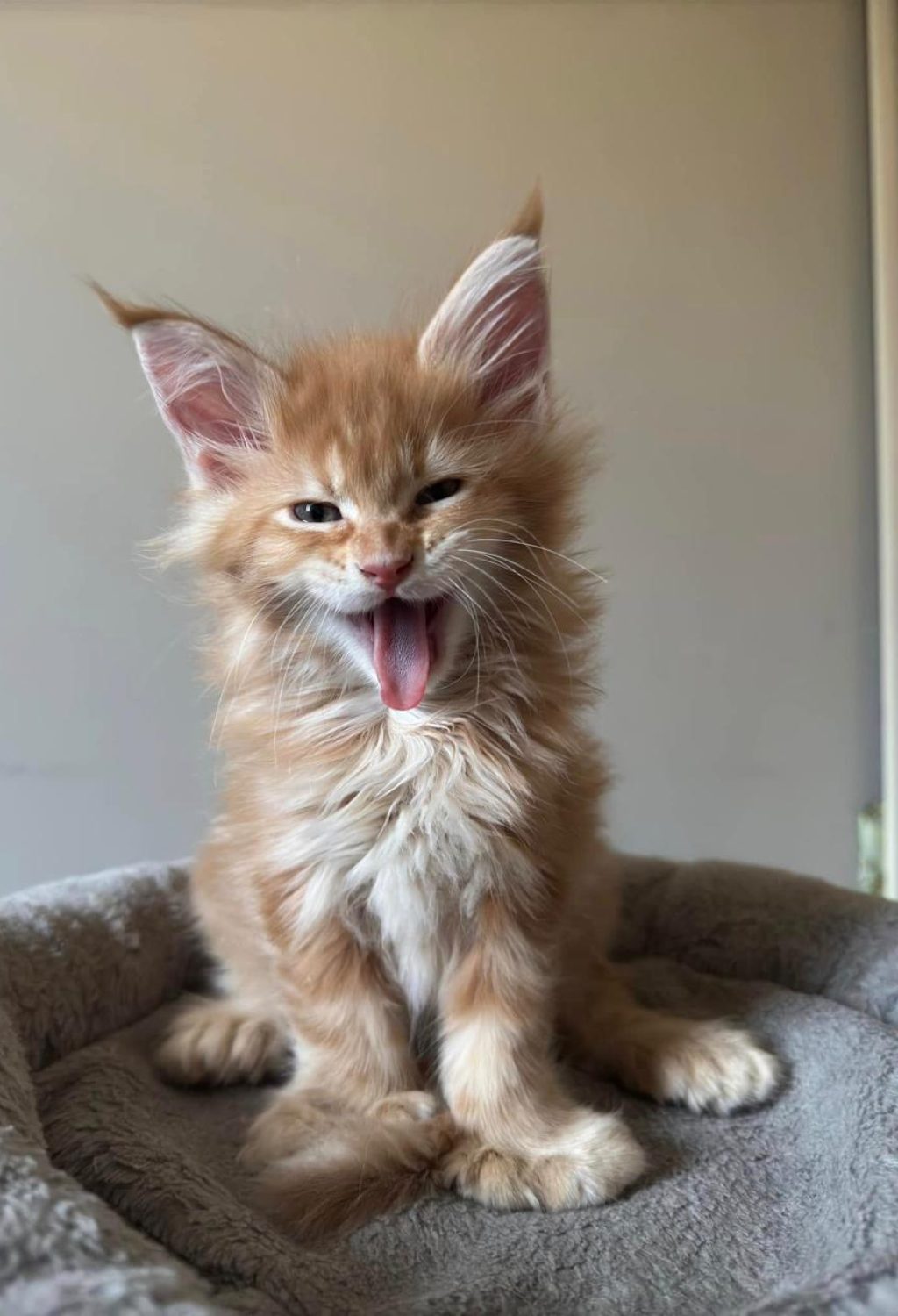 WhatsApp Image 2026-03-04 at 23.50.36